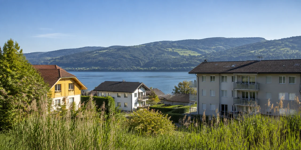 Wohnhäuser zwischen Schilf, Bäumen und einem See mit grünen Hügeln